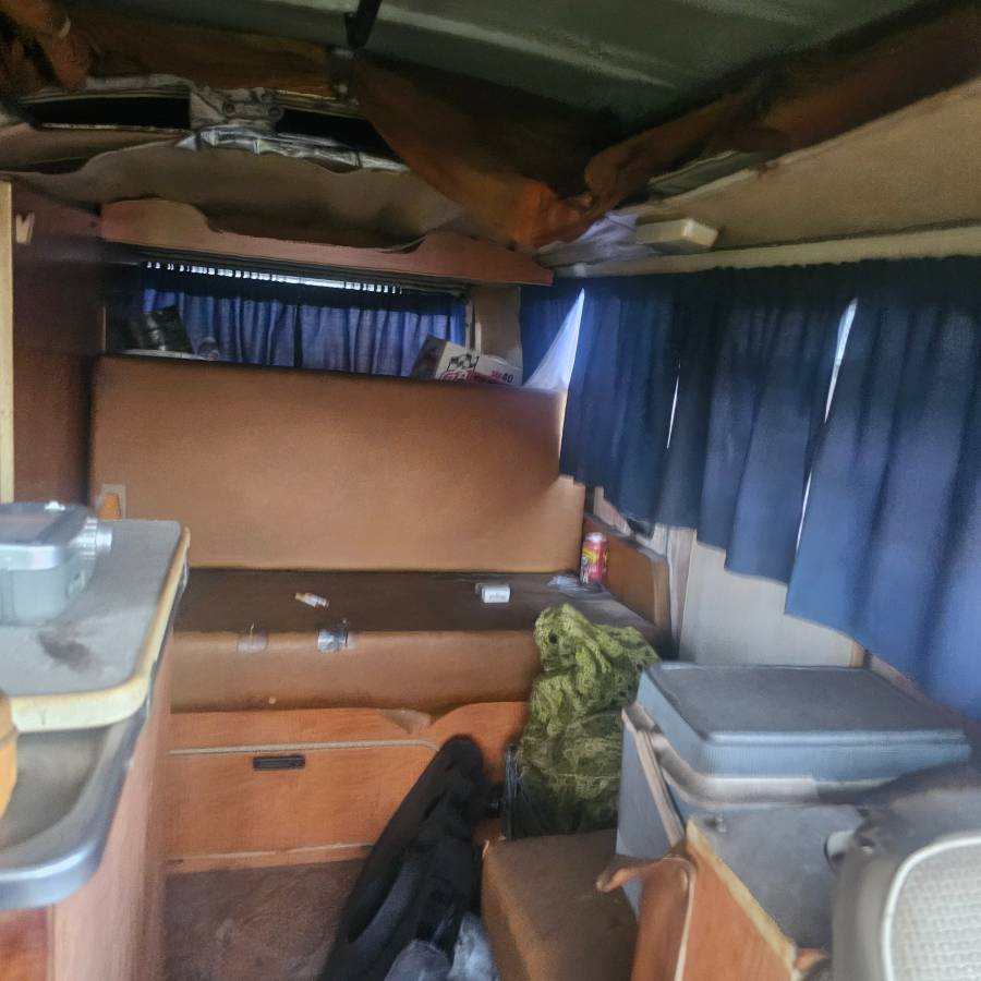 Volkswagen-bus-1970-white-2