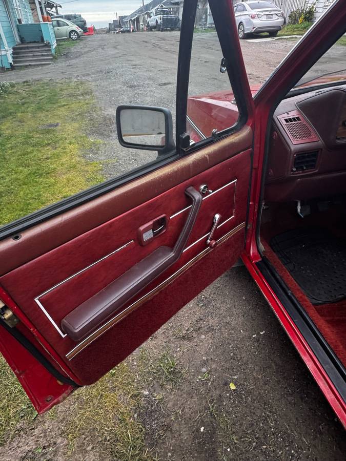 Volkswagen-rabbit-diesel-1981-red-5