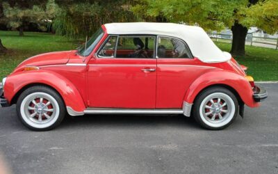 Volkswagen super beetle 1979
