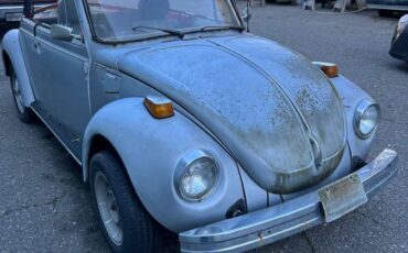 Volkswagen-super-beetle-1980-silver-1