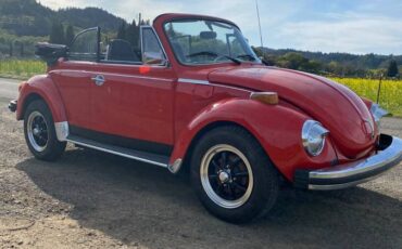 Volkswagen-super-beetle-convertible-1975-5