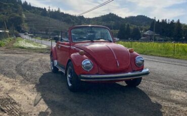 Volkswagen-super-beetle-convertible-1975-6
