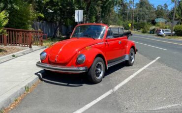 Volkswagen-super-beetle-convertible-1975-8