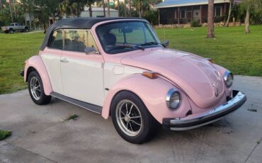 Volkswagen-super-beetle-vw-1979-13