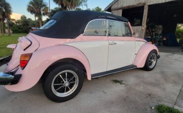 Volkswagen-super-beetle-vw-1979-14