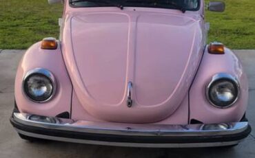 Volkswagen-super-beetle-vw-1979-15