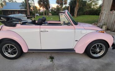 Volkswagen-super-beetle-vw-1979-4