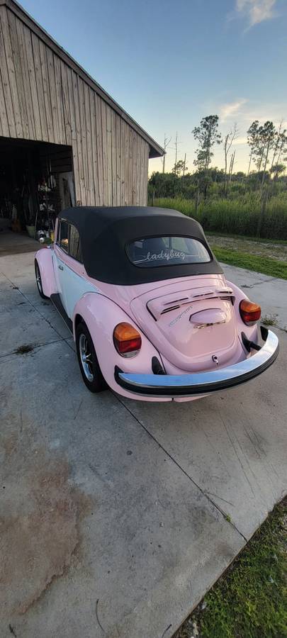 Volkswagen-super-beetle-vw-1979-8