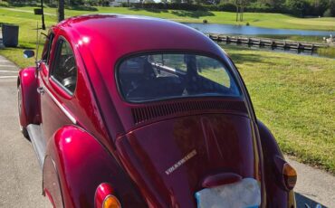 Volkswagon-beetle-1964-custom-1
