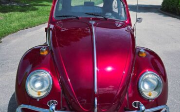 Volkswagon-beetle-1964-custom-11