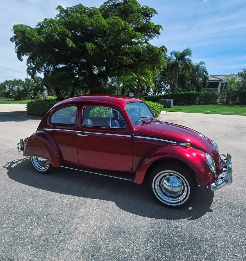 Volkswagon-beetle-1964-custom-12