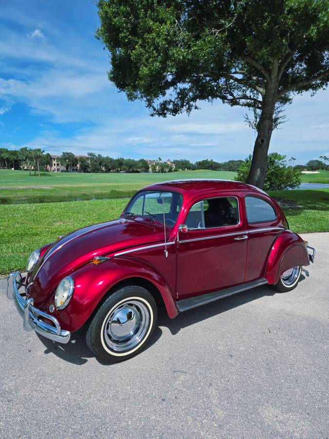 Volkswagon-beetle-1964-custom-13