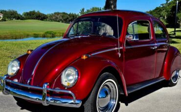 Volkswagon-beetle-1964-custom-3