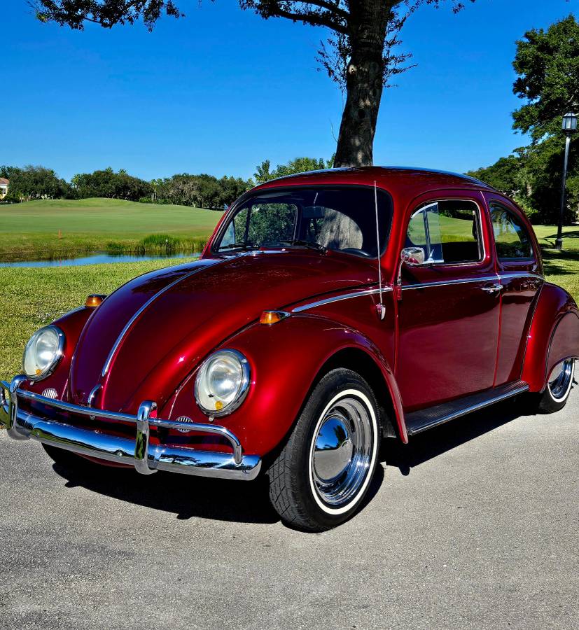 Volkswagon-beetle-1964-custom-3