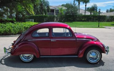 Volkswagon-beetle-1964-custom-8