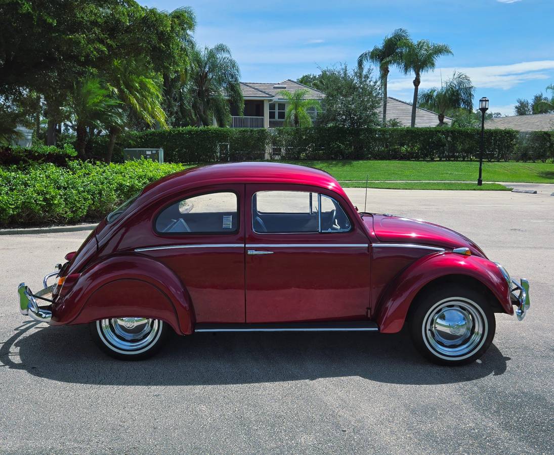 Volkswagon-beetle-1964-custom-8