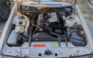 Volvo-240-series-1981-19