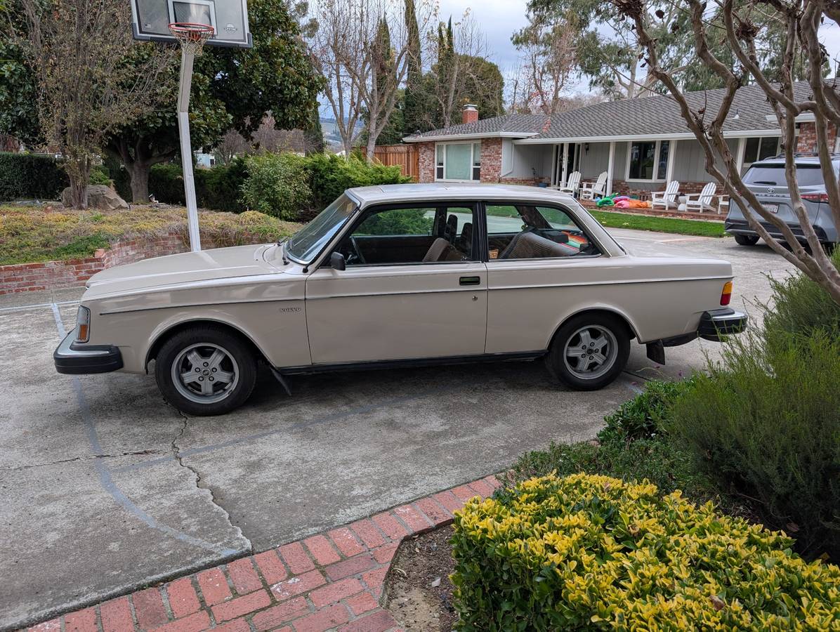 Volvo-240-series-1981-3