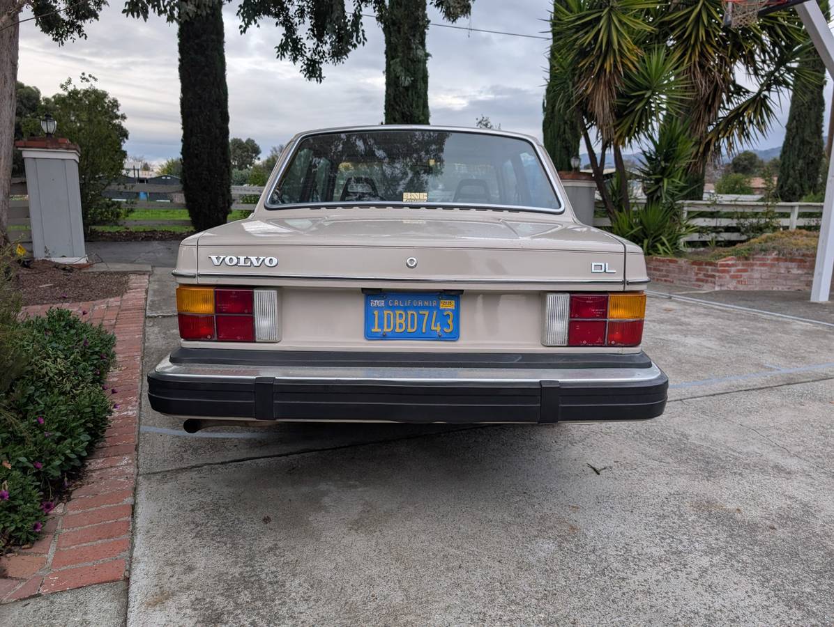 Volvo-240-series-1981-5