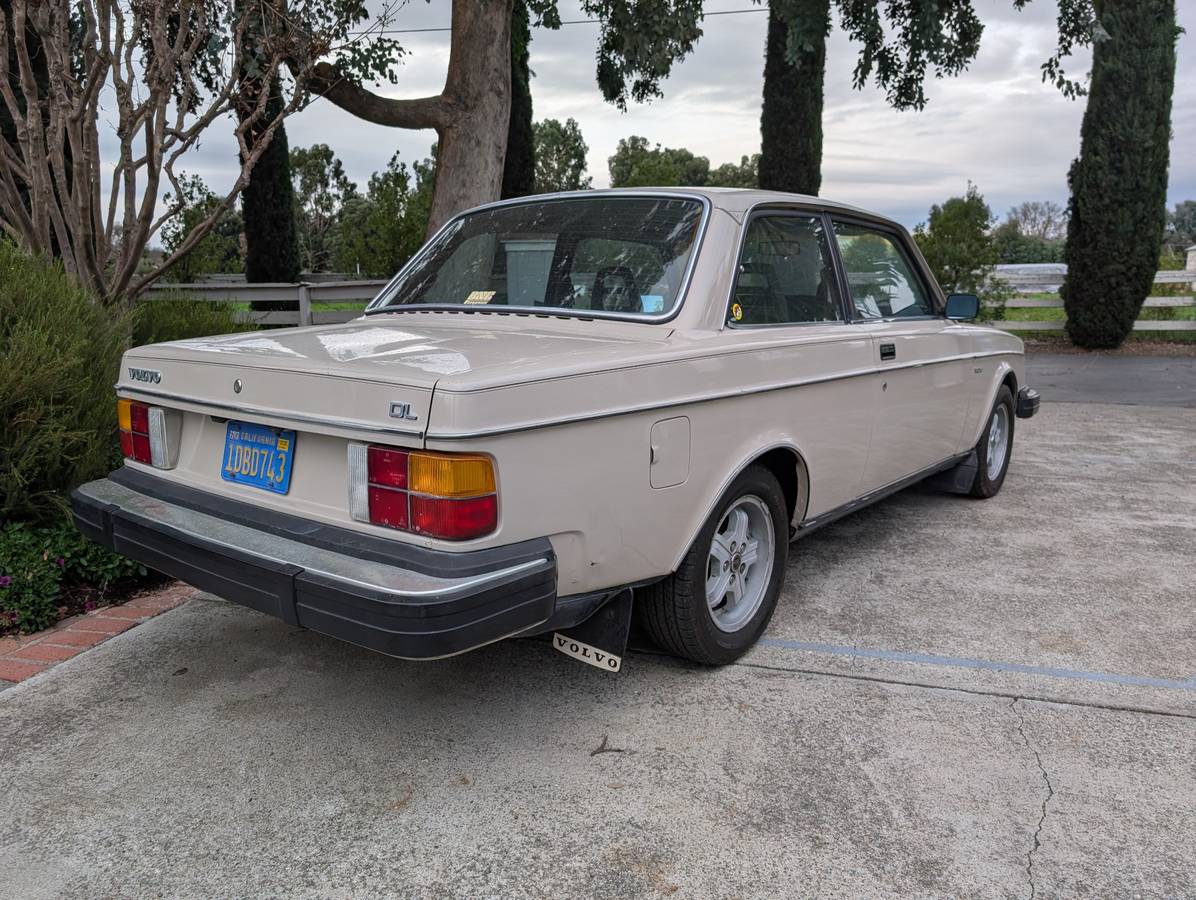 Volvo-240-series-1981-6