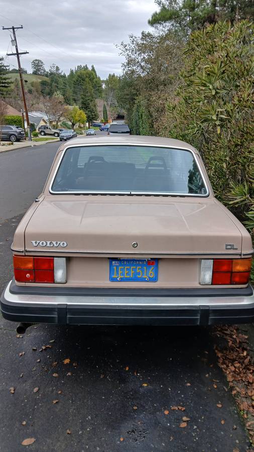 Volvo-dl-242-1982-1