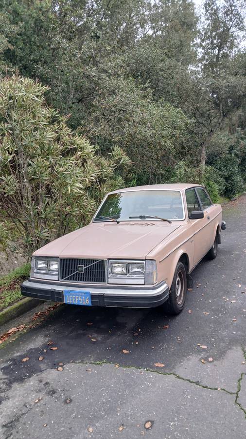Volvo-dl-242-1982-2