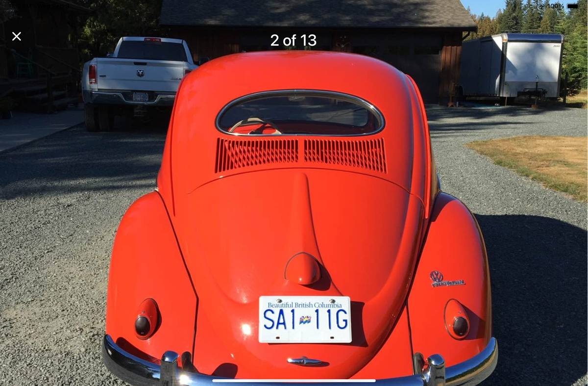 Vw-beetle-1955
