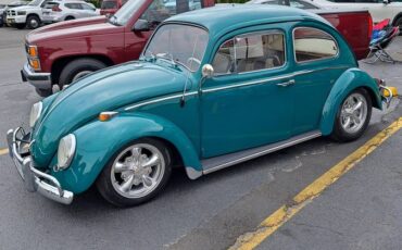 Vw-beetle-1964-green-5