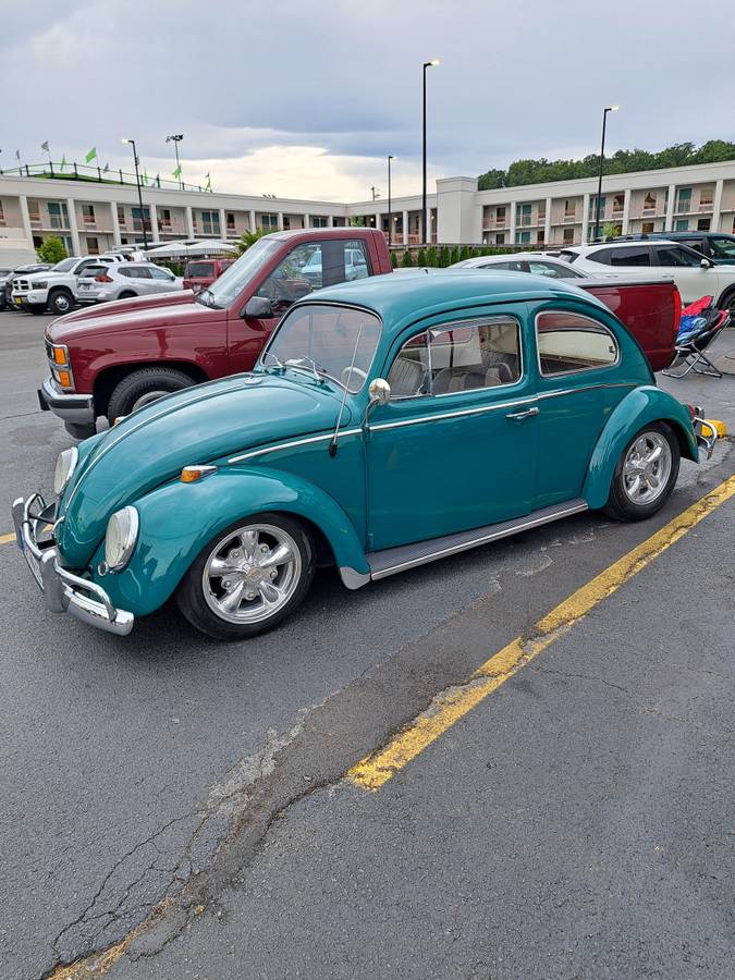 Vw-beetle-1964-green-5