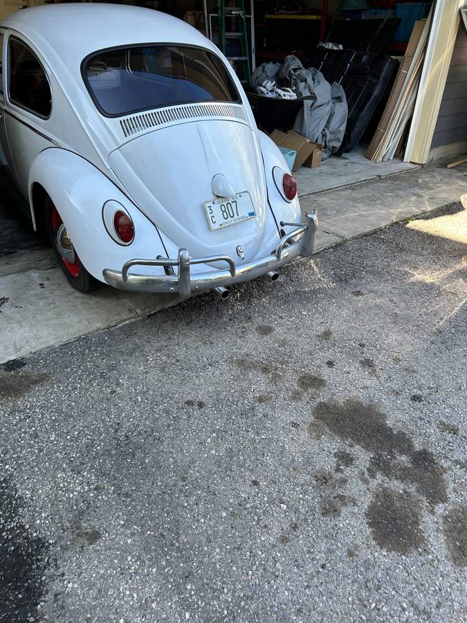 Vw-beetle-bug-1966-white-10
