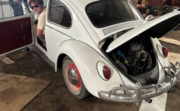 Vw-beetle-bug-1966-white-11