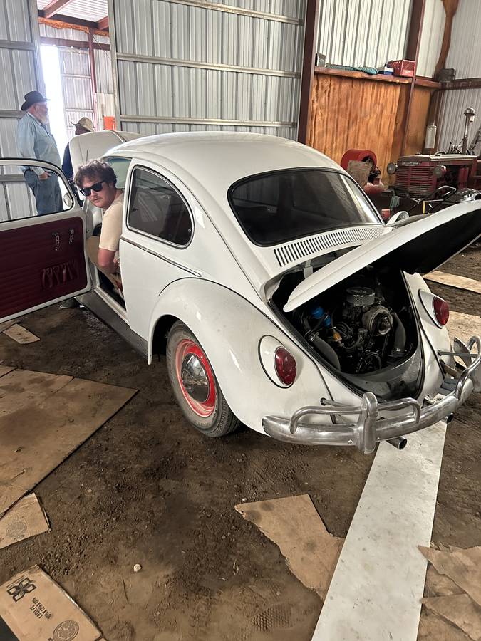 Vw-beetle-bug-1966-white-11