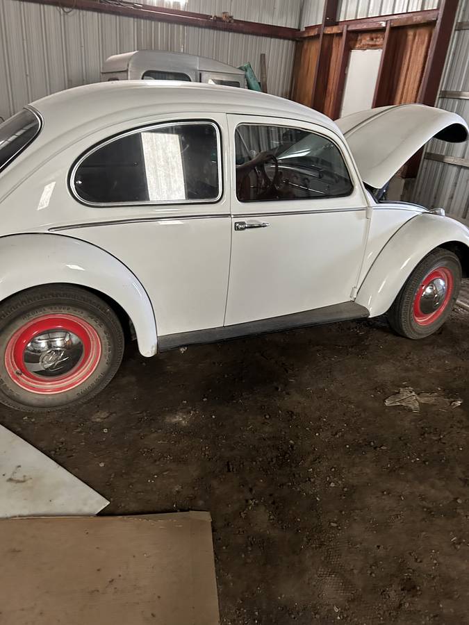 Vw-beetle-bug-1966-white-14