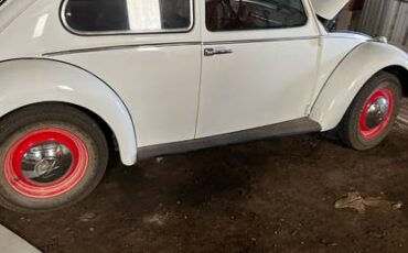 Vw-beetle-bug-1966-white-3