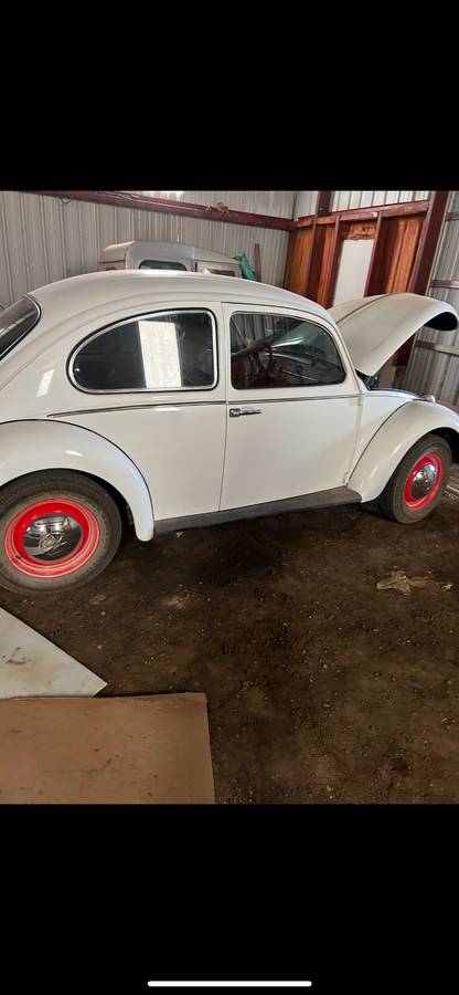 Vw-beetle-bug-1966-white-3