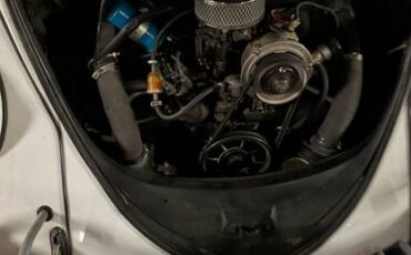 Vw-beetle-bug-1966-white-4