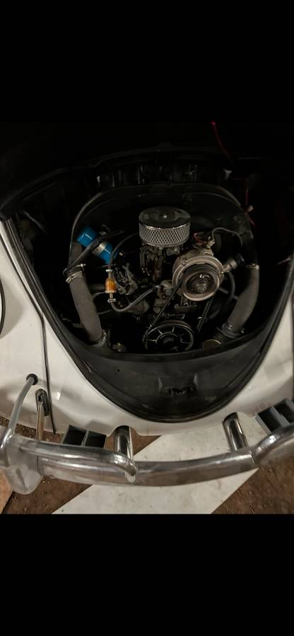 Vw-beetle-bug-1966-white-4