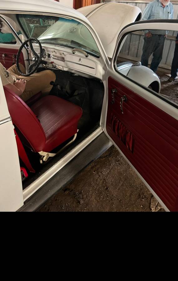 Vw-beetle-bug-1966-white-5