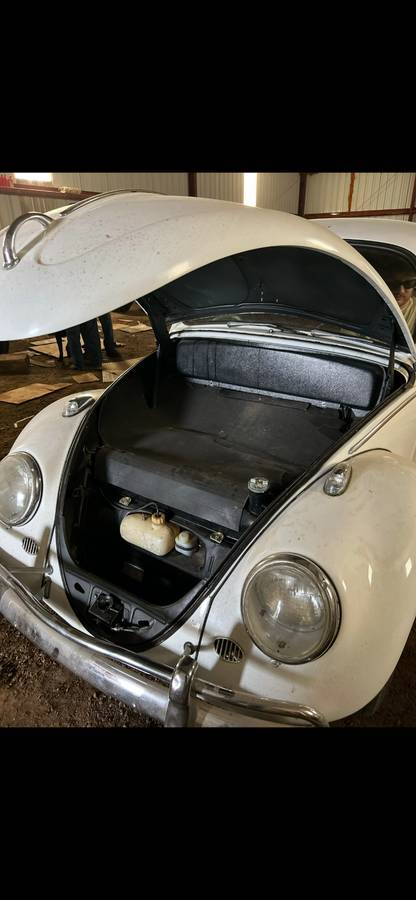 Vw-beetle-bug-1966-white-6