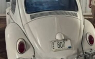 Vw-beetle-bug-1966-white-7