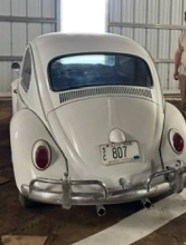 Vw-beetle-bug-1966-white-7
