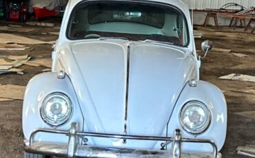 Vw-beetle-bug-1966-white-8