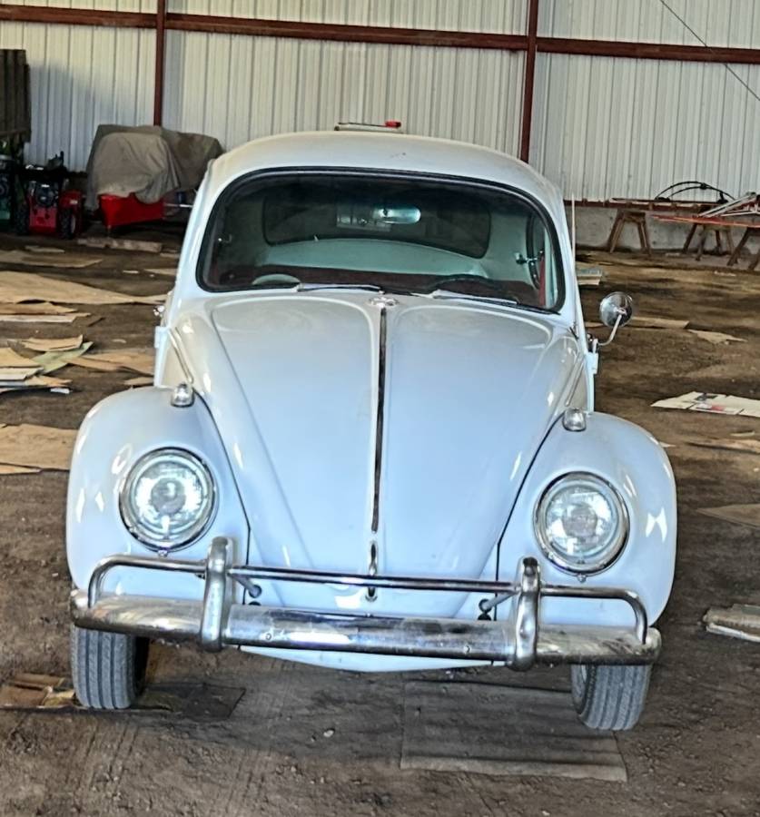 Vw-beetle-bug-1966-white-8