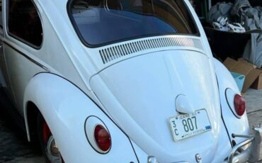 Vw-beetle-bug-1966-white-9
