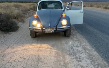 Vw-beetle-bug-1973-2