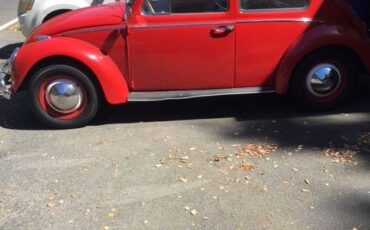 Vw-bug-1962-red