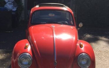 Vw-bug-1962-red-4