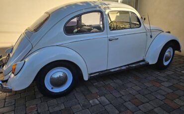 Vw-bug-1962-white-2