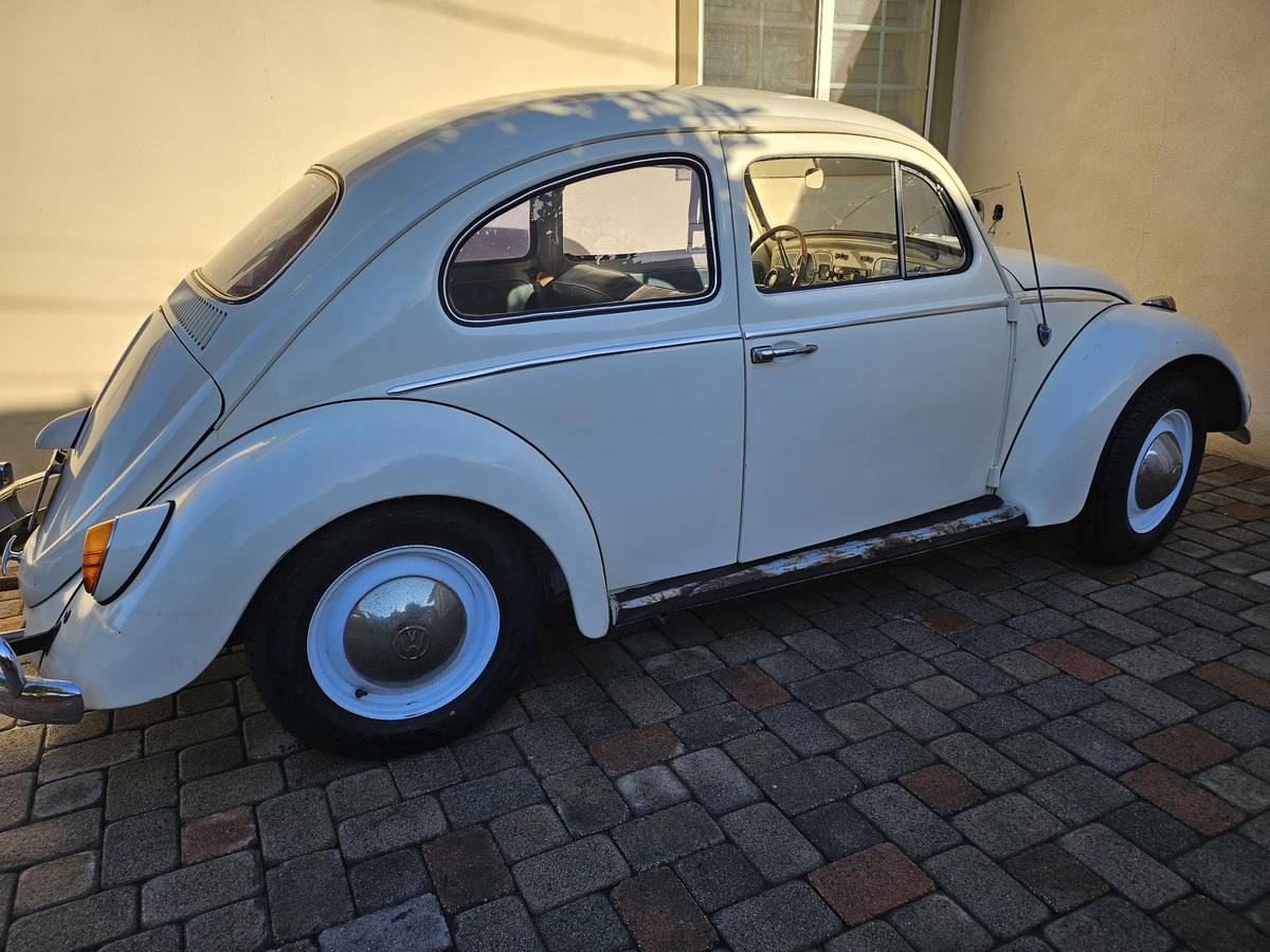 Vw-bug-1962-white-2