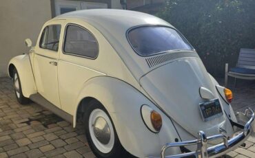 Vw-bug-1962-white-4